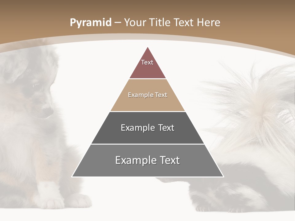 Mephitis Isolated Watching PowerPoint Template