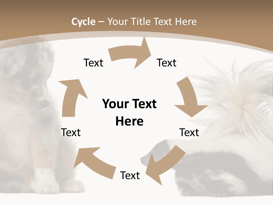 Mephitis Isolated Watching PowerPoint Template