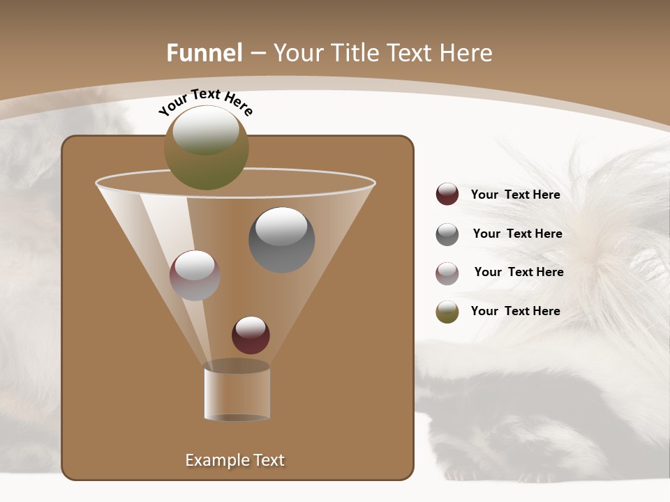 Mephitis Isolated Watching PowerPoint Template