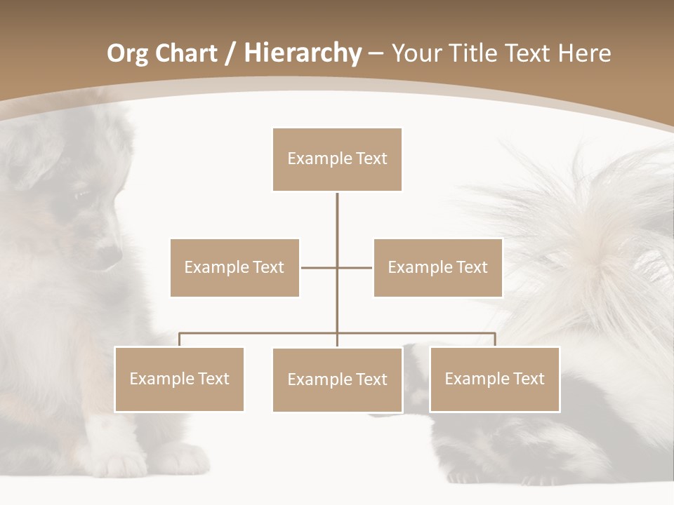 Mephitis Isolated Watching PowerPoint Template