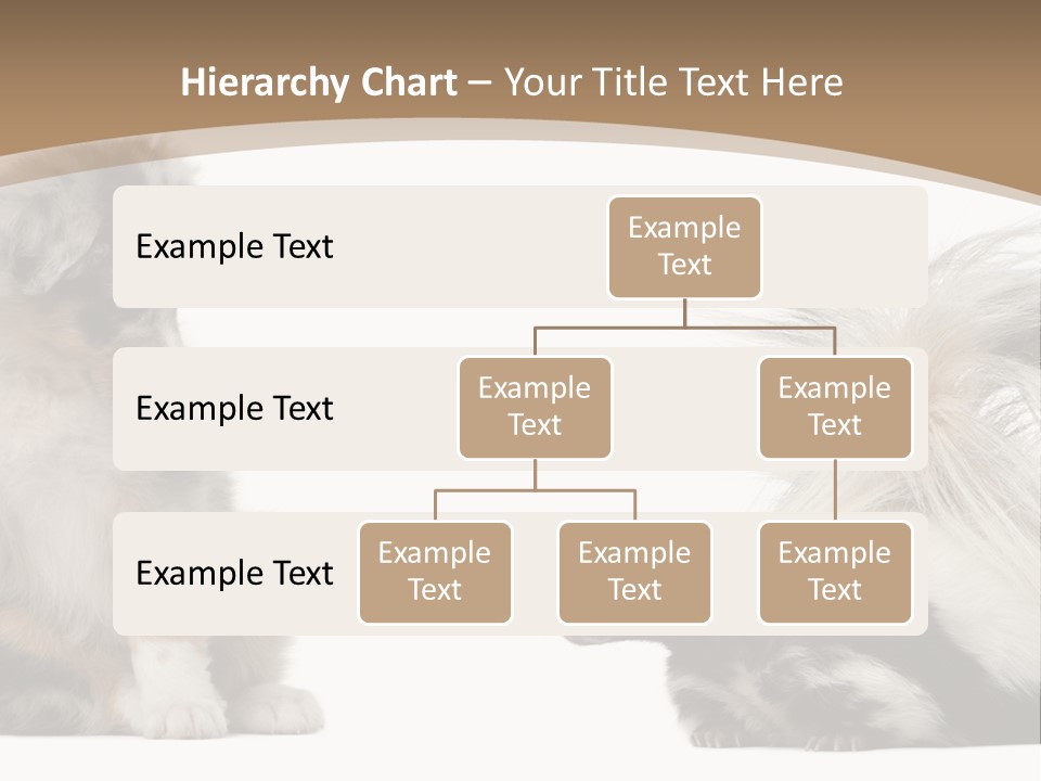 Mephitis Isolated Watching PowerPoint Template