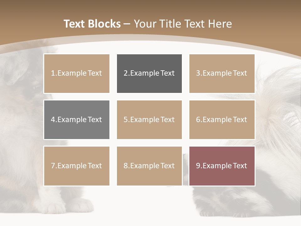 Mephitis Isolated Watching PowerPoint Template