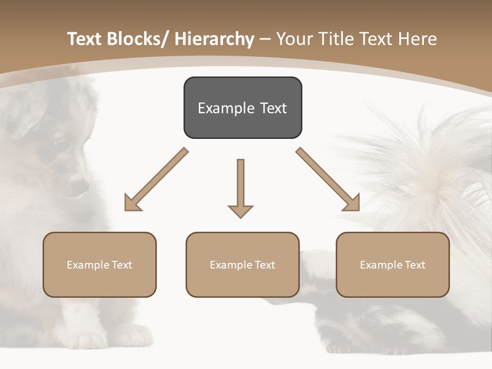 Mephitis Isolated Watching PowerPoint Template