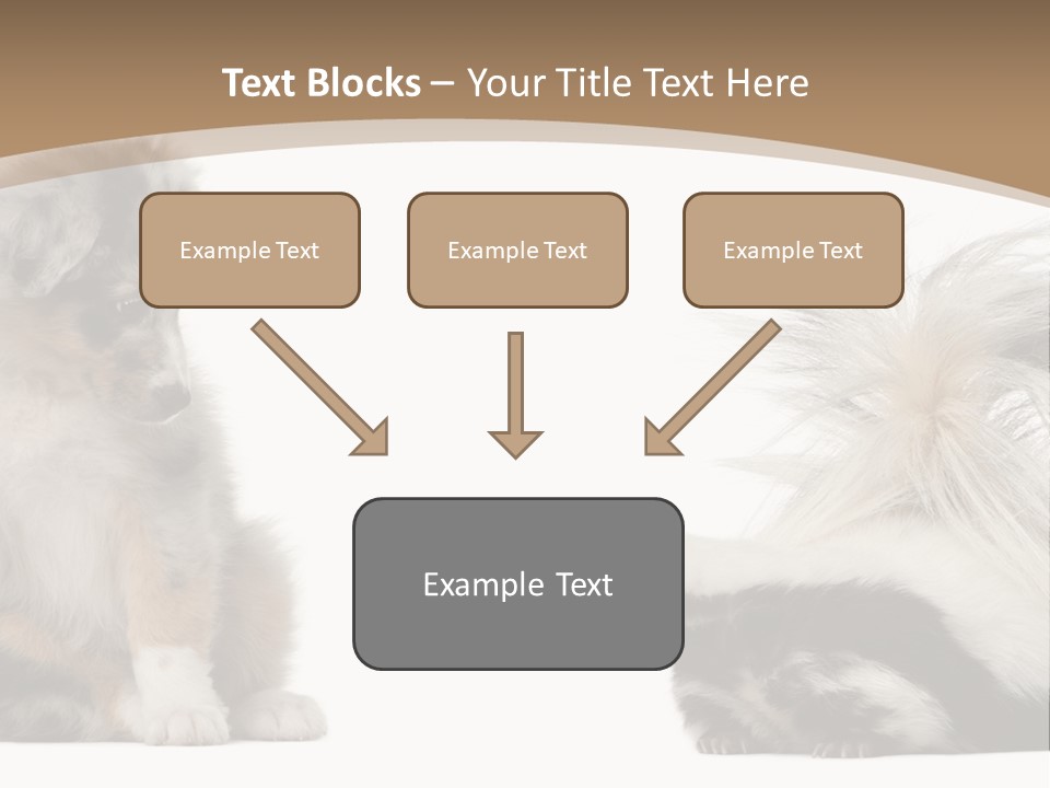 Mephitis Isolated Watching PowerPoint Template