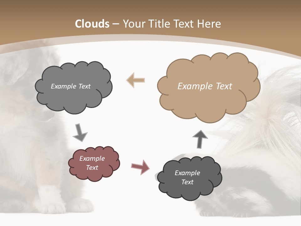 Mephitis Isolated Watching PowerPoint Template