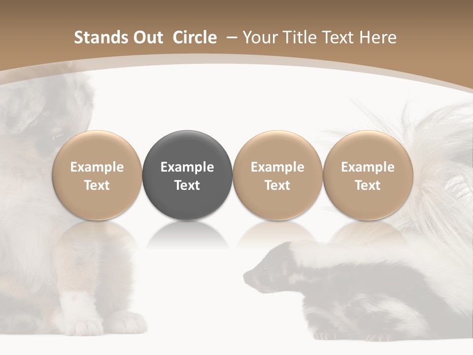 Mephitis Isolated Watching PowerPoint Template