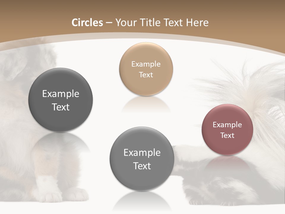 Mephitis Isolated Watching PowerPoint Template