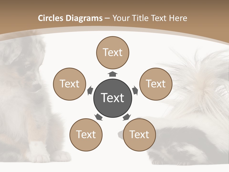 Mephitis Isolated Watching PowerPoint Template