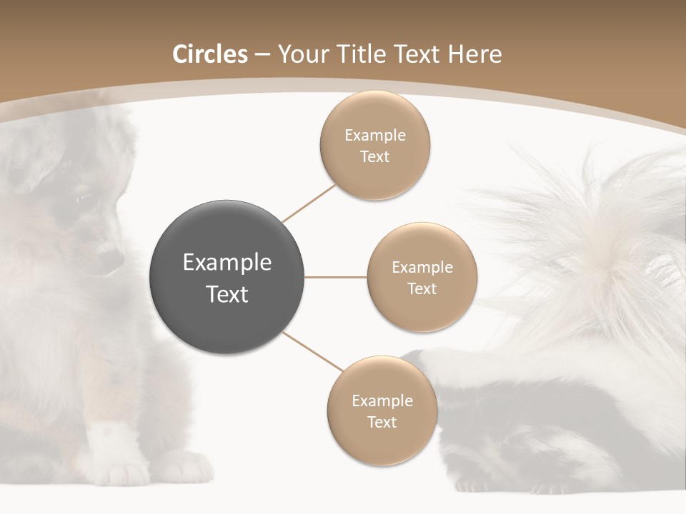 Mephitis Isolated Watching PowerPoint Template
