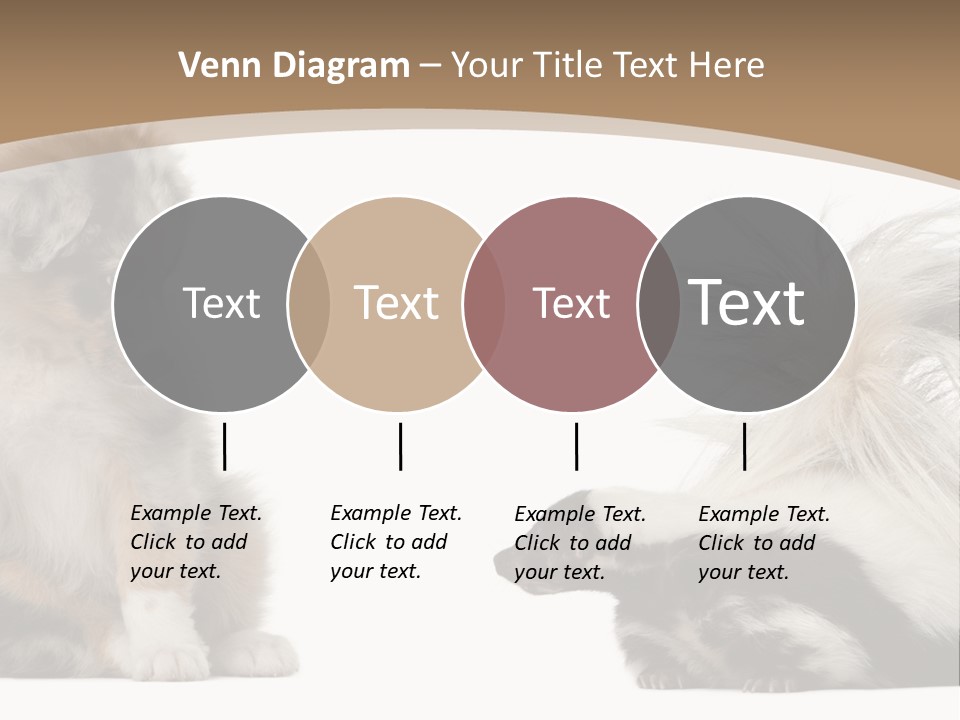 Mephitis Isolated Watching PowerPoint Template