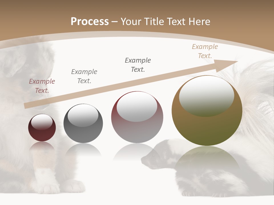 Mephitis Isolated Watching PowerPoint Template
