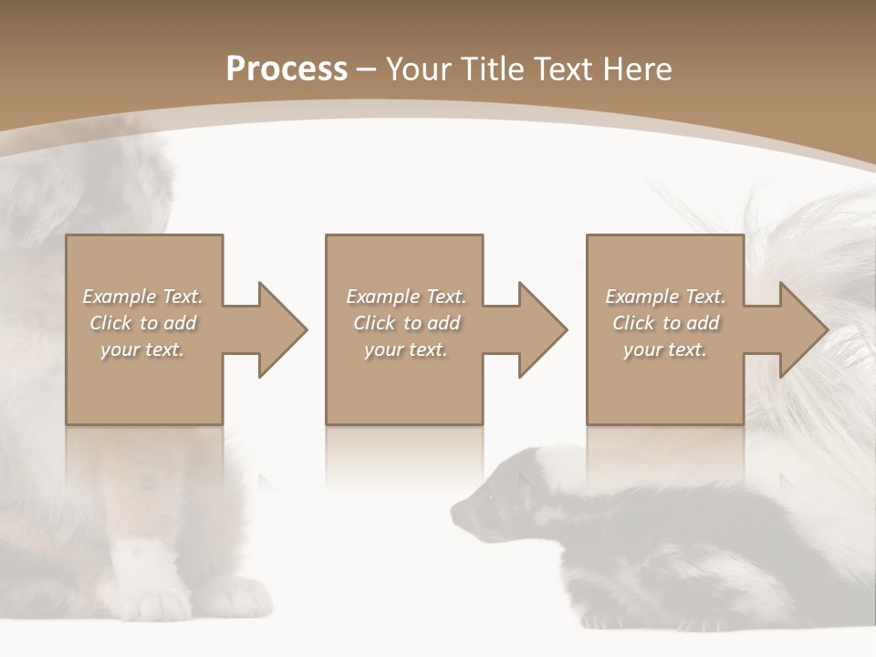 Mephitis Isolated Watching PowerPoint Template
