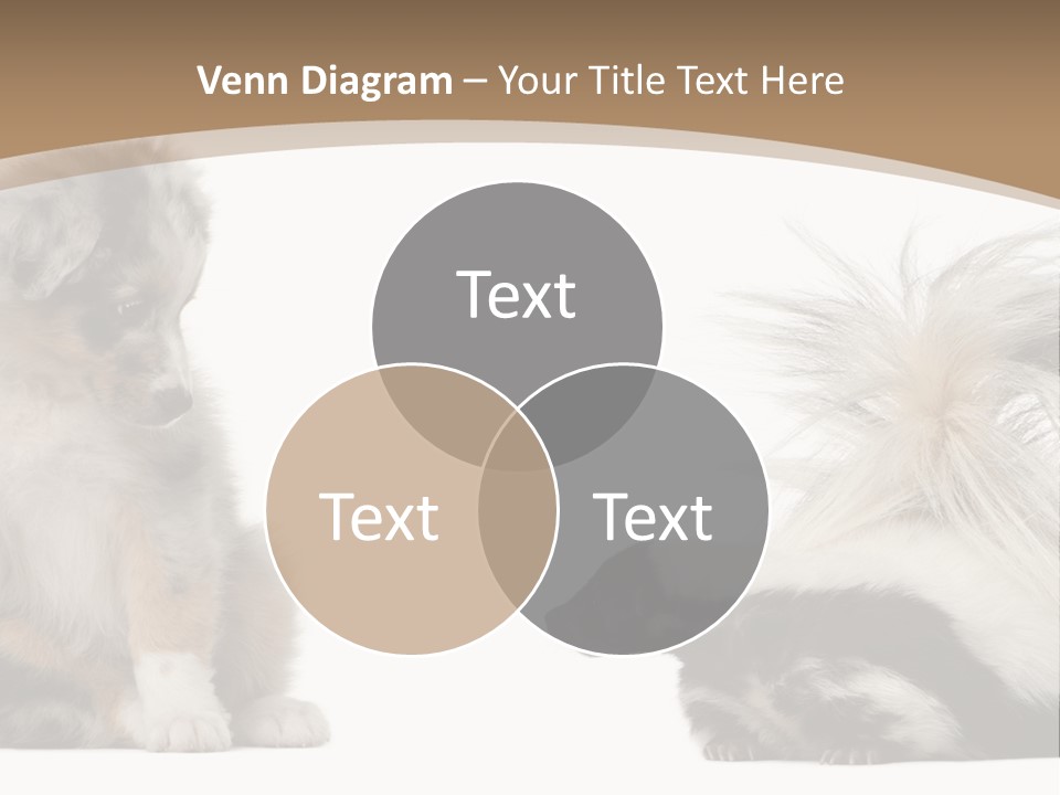 Mephitis Isolated Watching PowerPoint Template