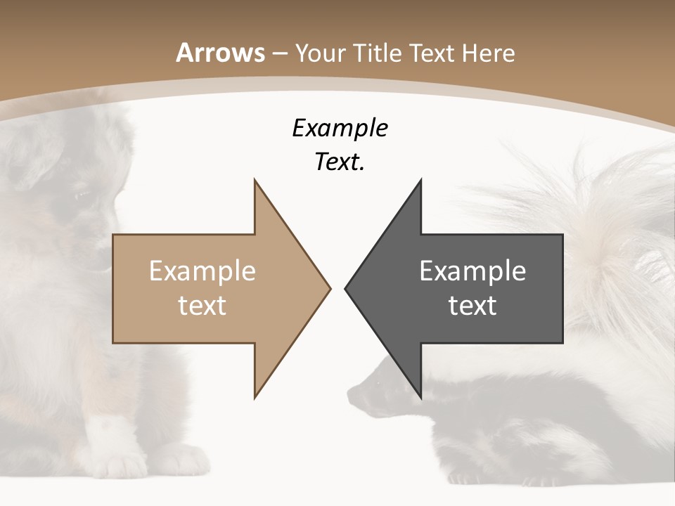 Mephitis Isolated Watching PowerPoint Template