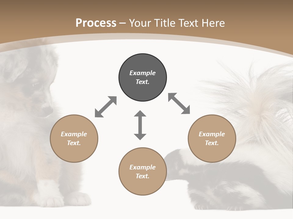 Mephitis Isolated Watching PowerPoint Template
