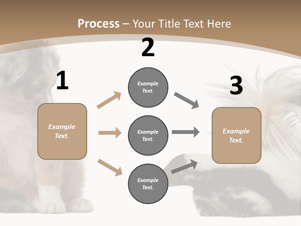 Mephitis Isolated Watching PowerPoint Template