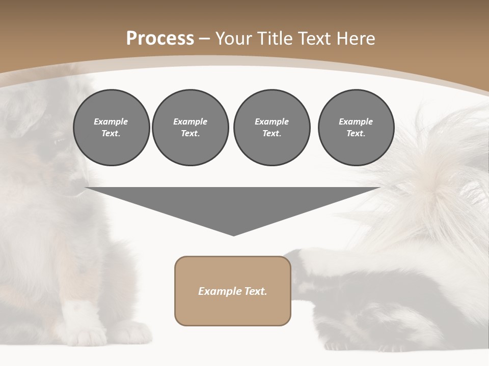 Mephitis Isolated Watching PowerPoint Template