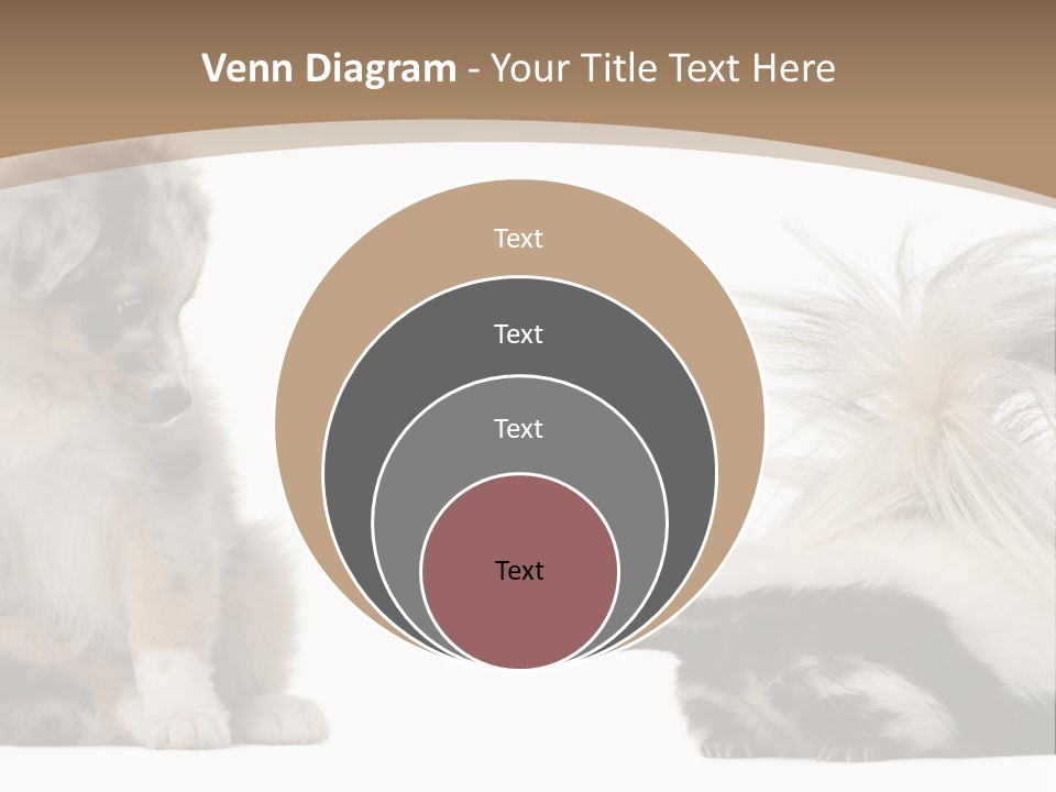 Mephitis Isolated Watching PowerPoint Template