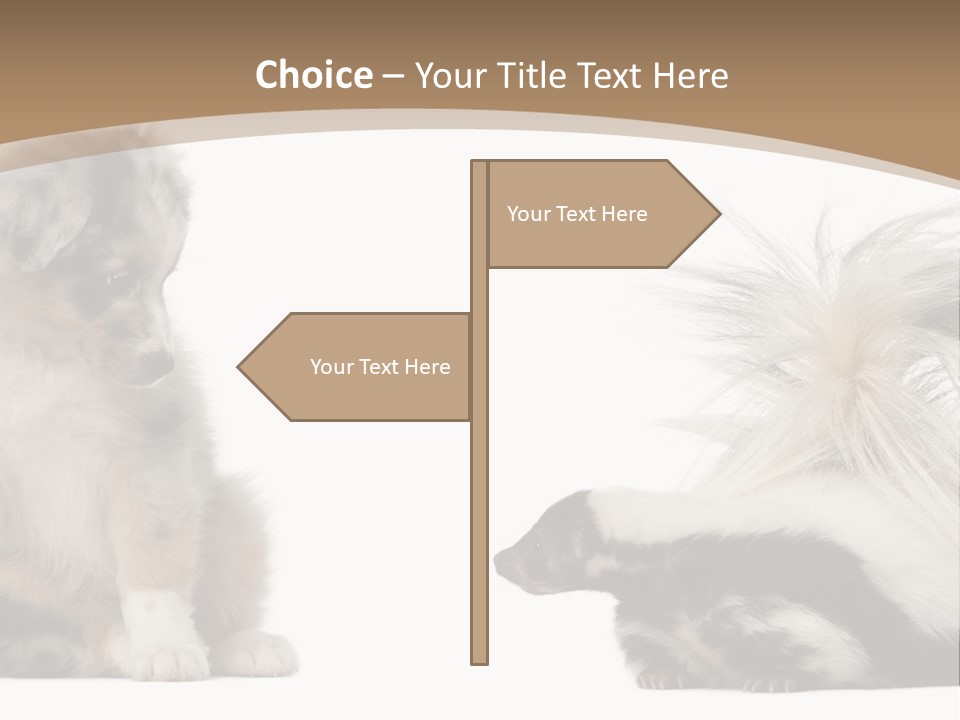 Mephitis Isolated Watching PowerPoint Template