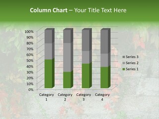 Yellow Stone Color PowerPoint Template