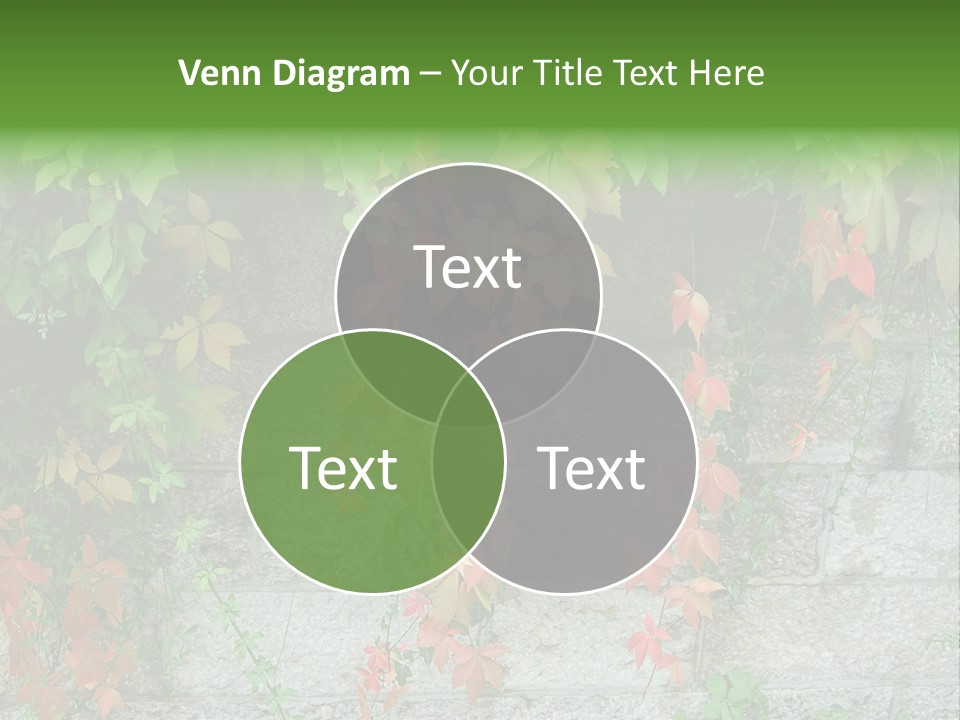 Yellow Stone Color PowerPoint Template