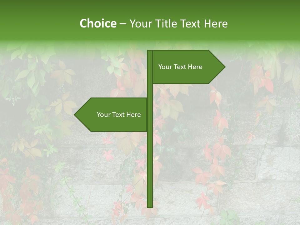 Yellow Stone Color PowerPoint Template