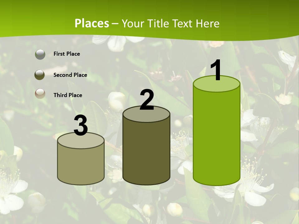 Myrtus Rosids Green PowerPoint Template