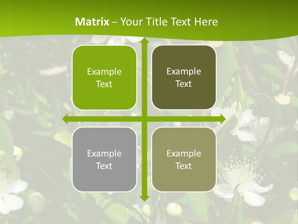 Myrtus Rosids Green PowerPoint Template