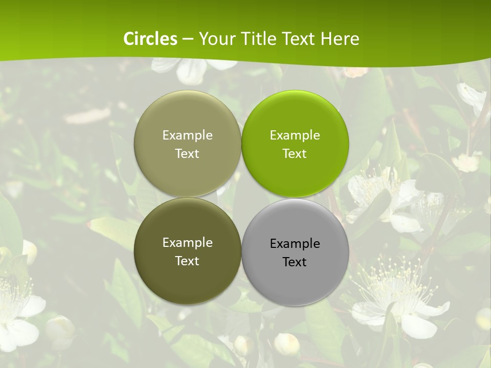 Myrtus Rosids Green PowerPoint Template