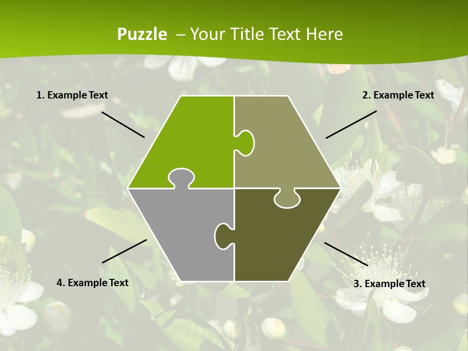 Myrtus Rosids Green PowerPoint Template