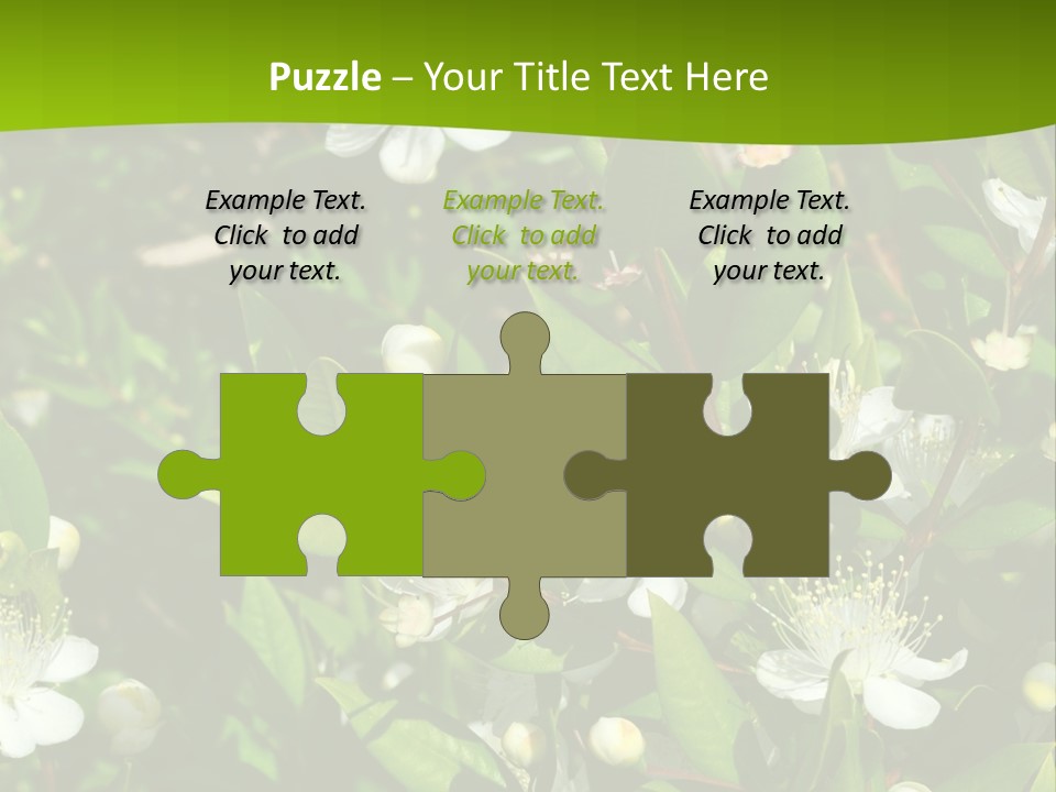 Myrtus Rosids Green PowerPoint Template