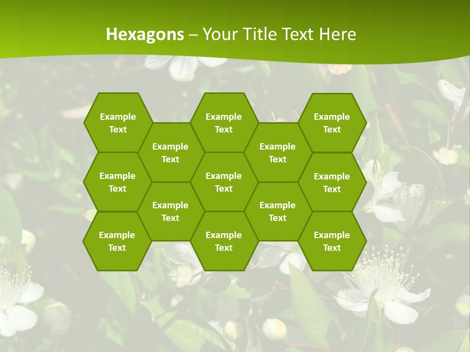 Myrtus Rosids Green PowerPoint Template