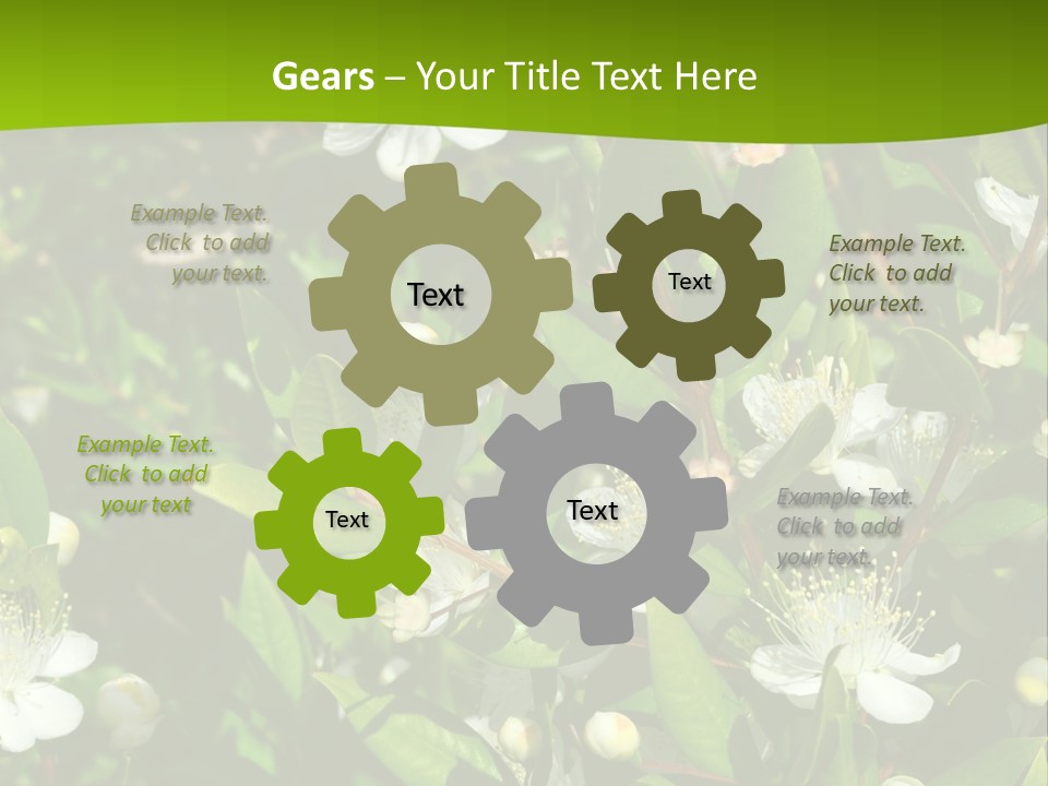 Myrtus Rosids Green PowerPoint Template