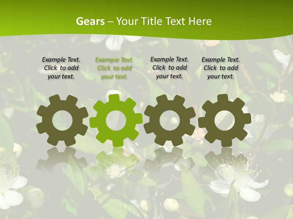 Myrtus Rosids Green PowerPoint Template