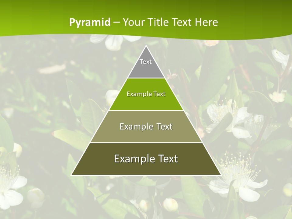 Myrtus Rosids Green PowerPoint Template