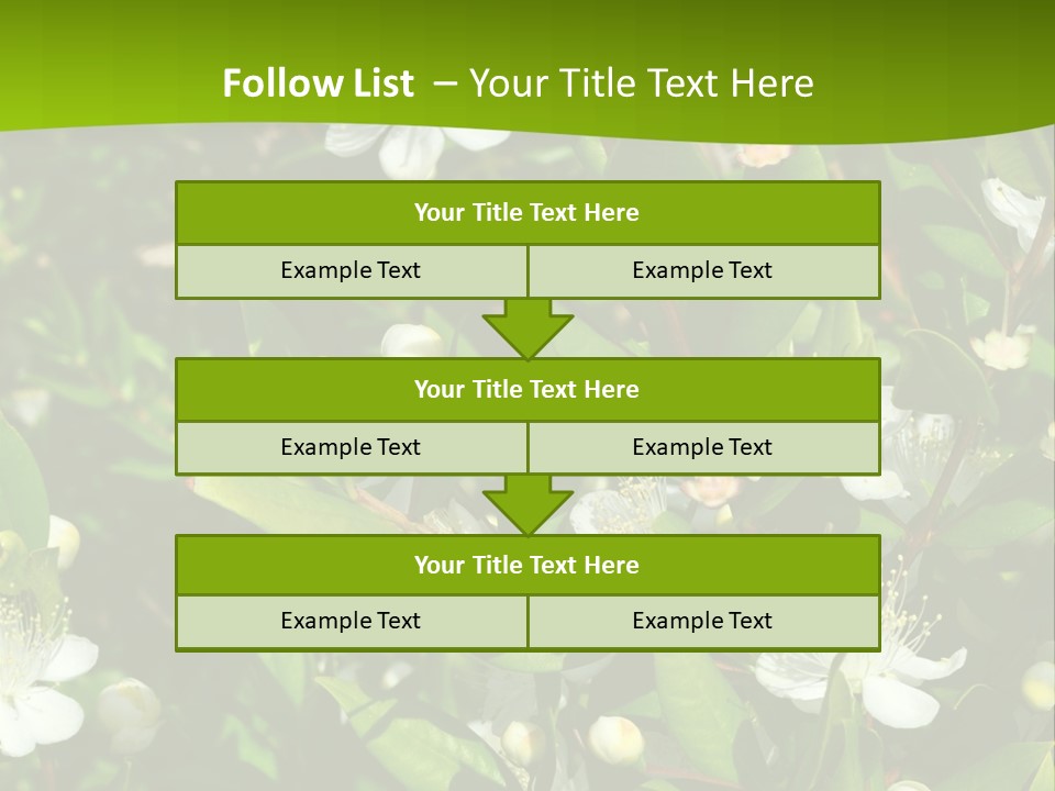 Myrtus Rosids Green PowerPoint Template