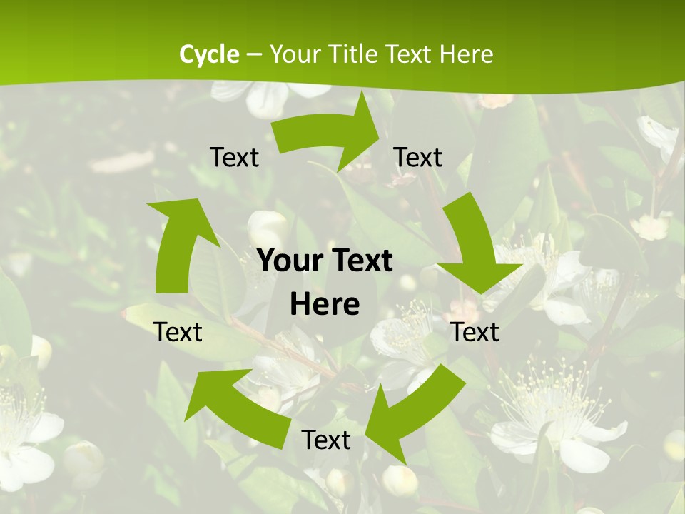 Myrtus Rosids Green PowerPoint Template