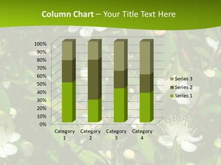 Myrtus Rosids Green PowerPoint Template