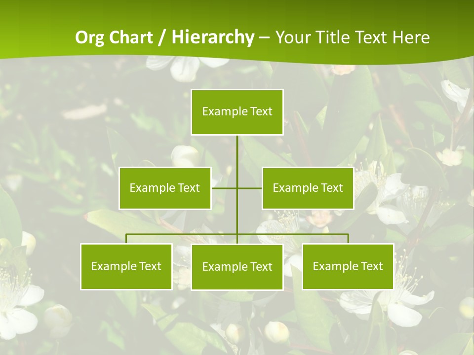 Myrtus Rosids Green PowerPoint Template