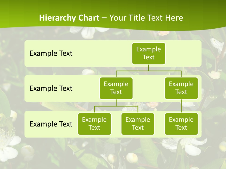 Myrtus Rosids Green PowerPoint Template