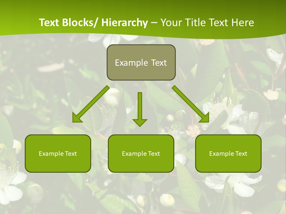 Myrtus Rosids Green PowerPoint Template