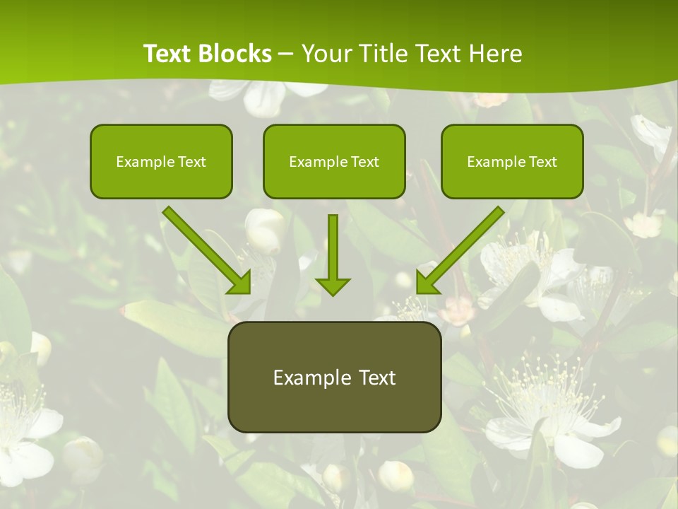 Myrtus Rosids Green PowerPoint Template
