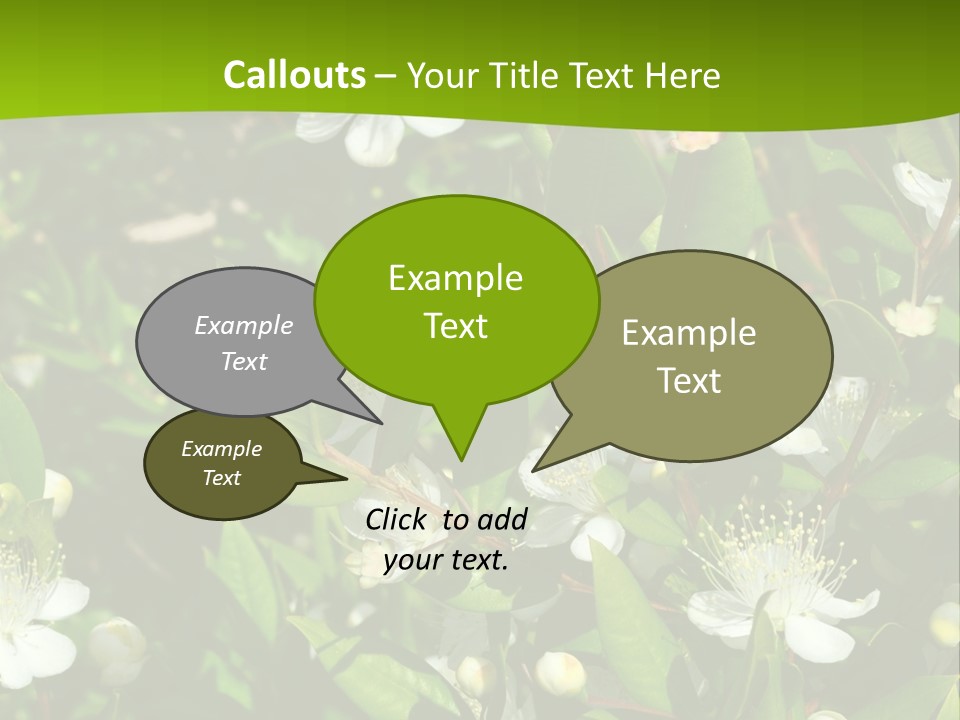 Myrtus Rosids Green PowerPoint Template