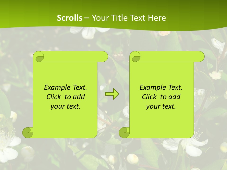 Myrtus Rosids Green PowerPoint Template