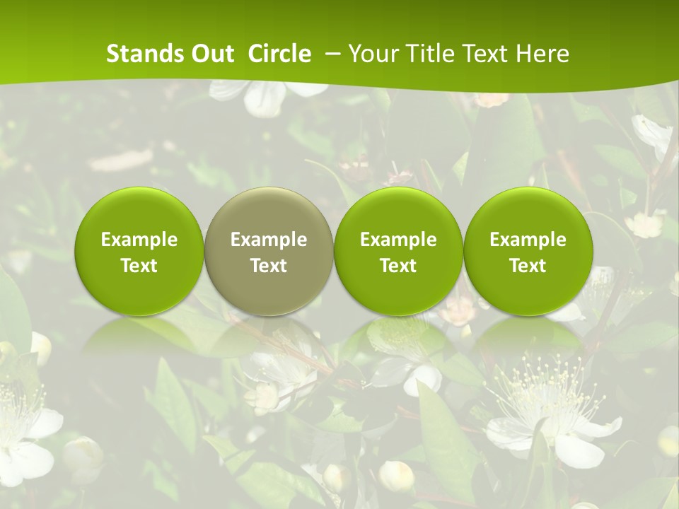 Myrtus Rosids Green PowerPoint Template