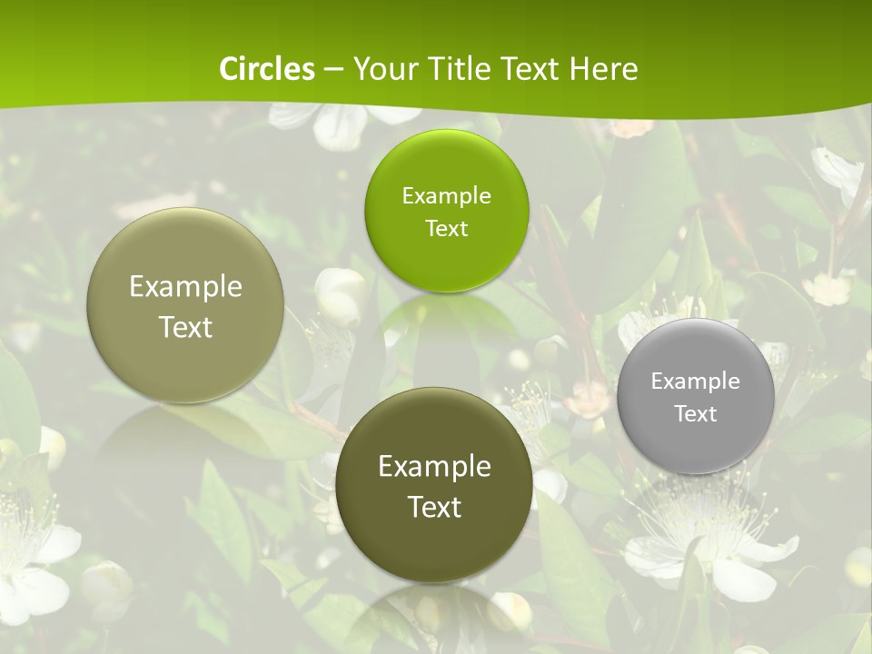 Myrtus Rosids Green PowerPoint Template