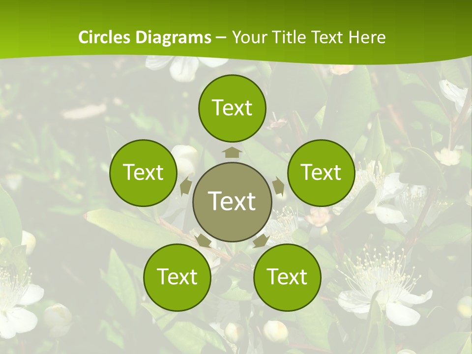 Myrtus Rosids Green PowerPoint Template