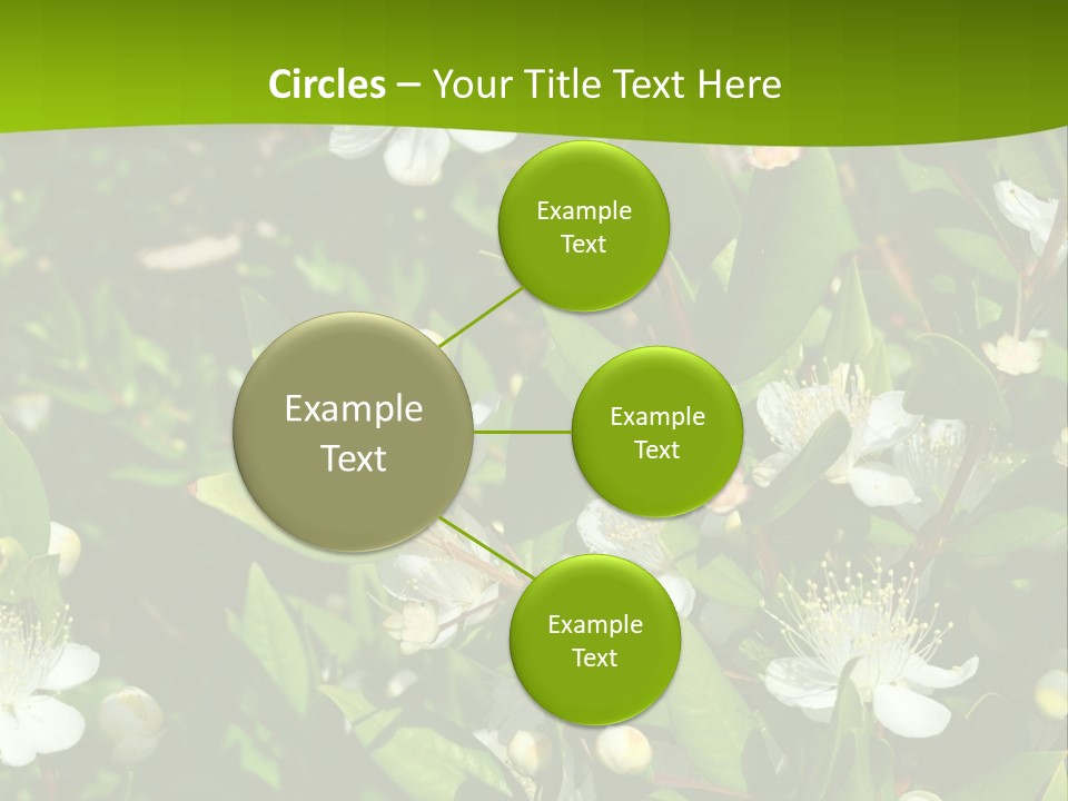 Myrtus Rosids Green PowerPoint Template