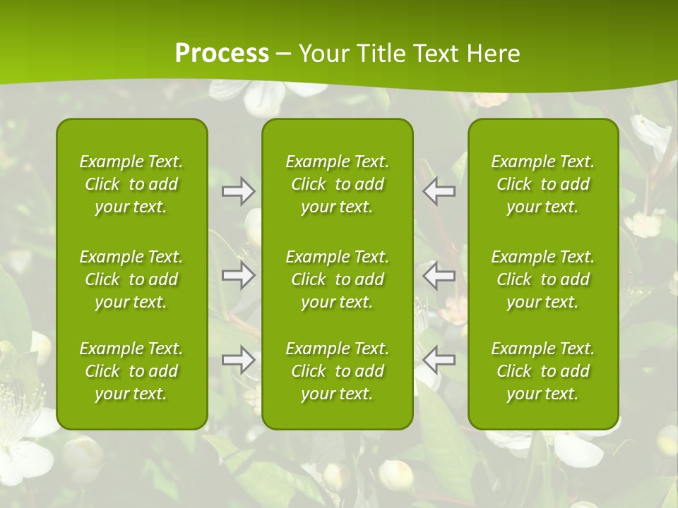 Myrtus Rosids Green PowerPoint Template
