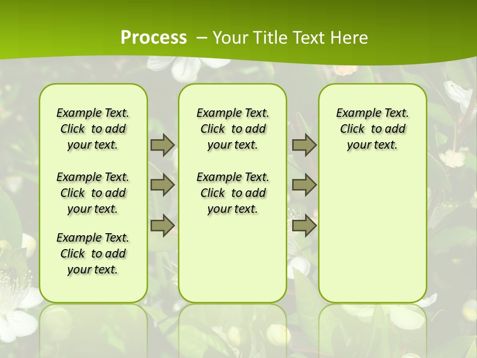 Myrtus Rosids Green PowerPoint Template